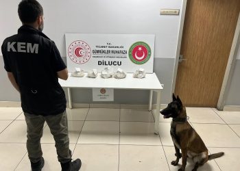Naxçıvan gömrüyündən maneəsiz keçən narkotik Türkiyədə ələ keçdi / Foto