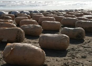 Xaçmaza daşınan yarım ton narkotik mafiyanın gizli xəritəsi – FOTOLAR