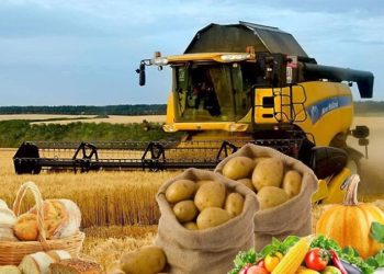 Kənd təsərrüfatında hədəflərə nail olunmayacaq – Hesablama Palatası