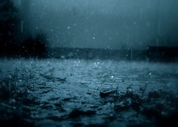 Yağış yağacaq, külək əsəcək – XƏBƏRDARLIQ