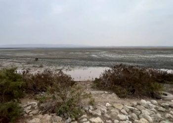 Azərbaycanın ən böyük göllərindən biri quruyur: Ekoloqlar həyəcan təbili çalır (VİDEO)