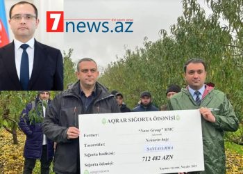 Kənd Təsərrüfatı nazirinin “sığorta əməliyyatı”