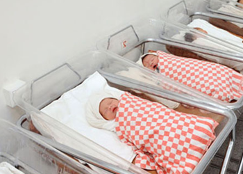 Bu ilin ilk 5 ayında 1184 əkiz, 48 üçəm doğulub