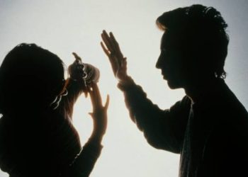 Məişət zorakılığının ən çox qeydə alındığı RAYONLAR