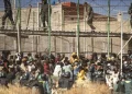 Avropada böhran: Miqrasiya dalğası arta bilər…