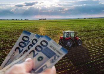 Aqrar subsidiyaların hüquqi statusu qanunla müəyyənləşdirilir