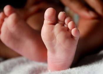 Bu il həbsxanalarda doğulan uşaqların SAYI