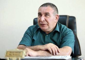 Rəşad Məcid: Ötən dövrdə Mətbuat Şurasına 815 şikayət daxil olub